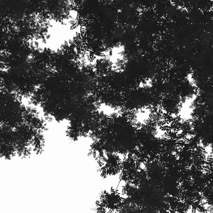 男人女人做爱说骚话三级片真人版
