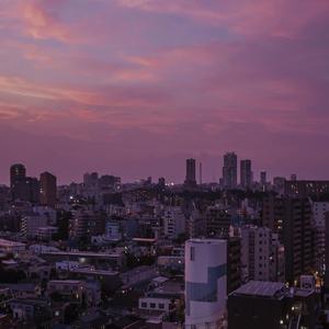 男人女人做爱说骚话三级片真人版
